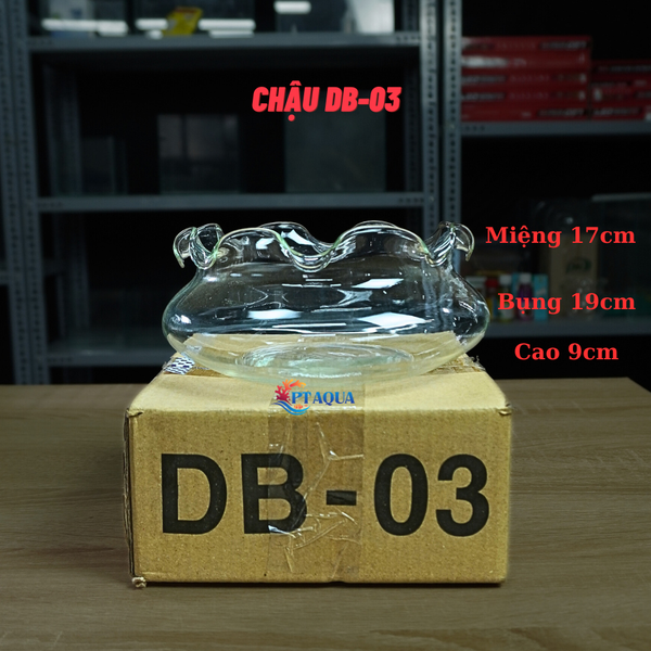 Bể Cá Mini, Chậu Thuỷ Tinh Tai Bèo DB phù hợp làm tiểu cảnh trang trí hoặc nuôi cá cảnh mini để bàn