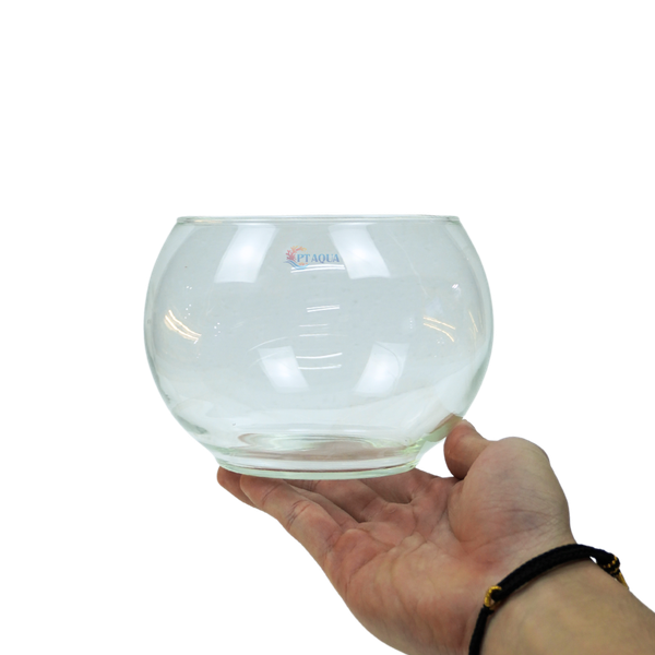 Chậu thủy tinh mini tròn ngang 14cm cao 12cm