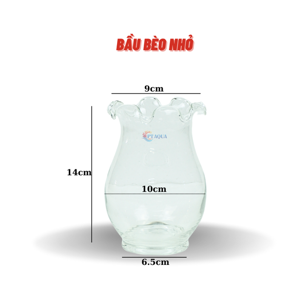 Chậu thủy tinh mini hình bầu bèo bụng 10cm cao 14cm trồng cây nuôi cá thủy canh