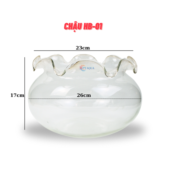 Chậu thủy tinh tai bèo để bàn , chậu thủy tinh mini tai bèo HB01 nuôi cá và trang trí
