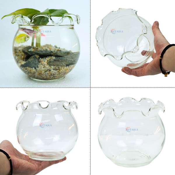 Chậu thủy tinh mini nuôi cá, bể cá mini để bàn