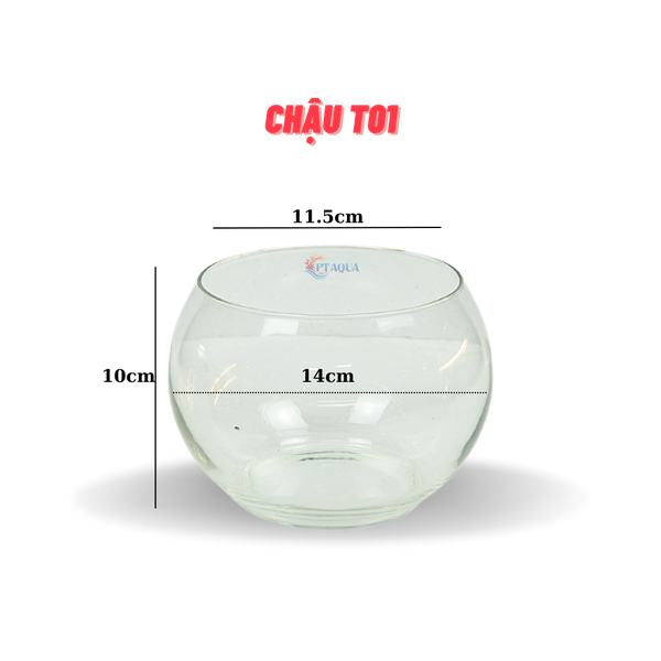 Chậu thủy tinh mini tròn ngang 14cm cao 12cm
