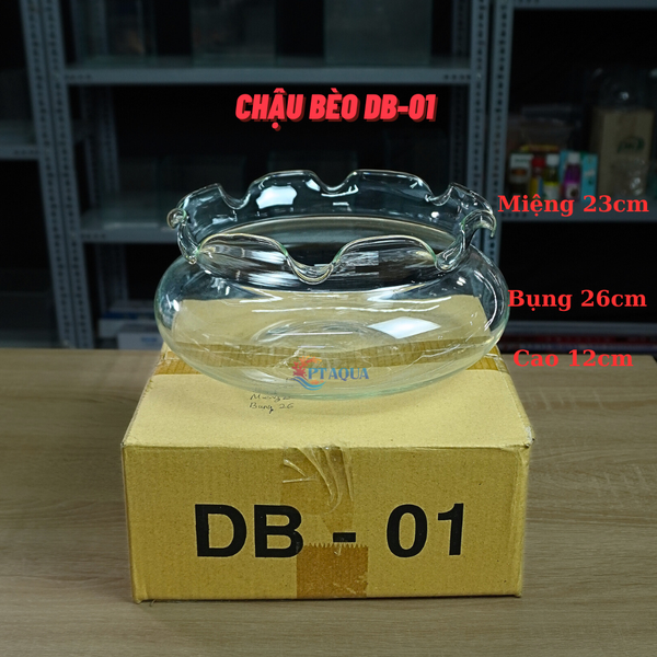 Bể Cá Mini, Chậu Thuỷ Tinh Tai Bèo DB phù hợp làm tiểu cảnh trang trí hoặc nuôi cá cảnh mini để bàn