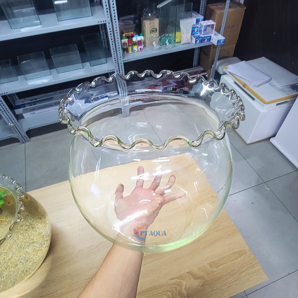 Chậu Thuỷ Tinh Tai Bèo Cỡ Đại To Phù Hợp Nuôi Cá hoặc Làm Trang Trí Tiểu Cảnh Ngang 28cm cao 27cm