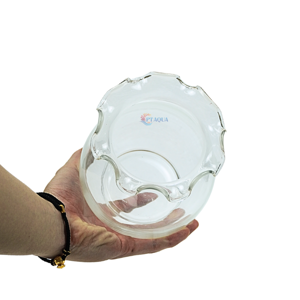 Chậu thủy tinh mini hình bầu bèo bụng 14cm cao 18cm trồng cây nuôi cá thủy canh