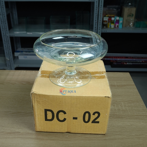 Bể Cá Mini, Chậu Thuỷ Tinh DC phù hợp làm tiểu cảnh trang trí hoặc nuôi cá cảnh mini để bàn