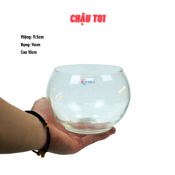 Chậu thủy tinh mini tròn ngang 14cm cao 12cm