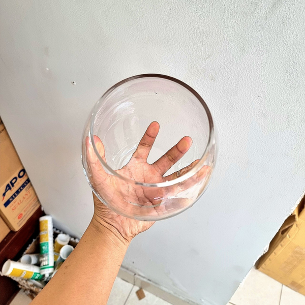 Chậu thủy tinh mini , chậu hoa thủy tinh , chậu thủy tinh mini tai bèo