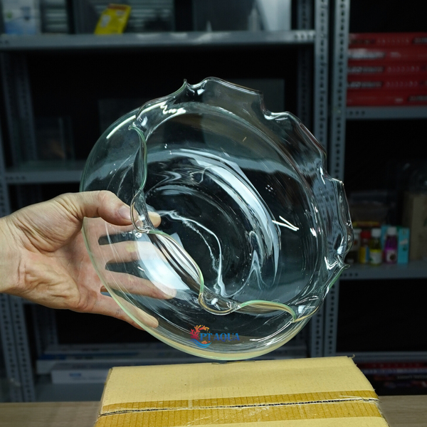 Bể Cá Mini, Chậu Thuỷ Tinh Tai Bèo DB phù hợp làm tiểu cảnh trang trí hoặc nuôi cá cảnh mini để bàn