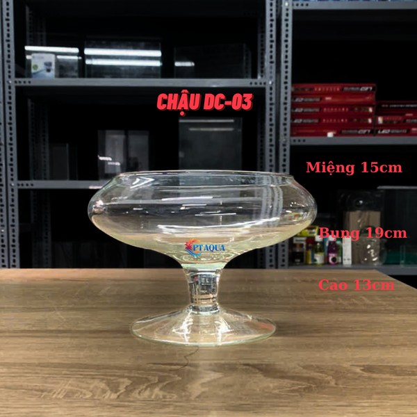 Bể Cá Mini, Chậu Thuỷ Tinh DC phù hợp làm tiểu cảnh trang trí hoặc nuôi cá cảnh mini để bàn