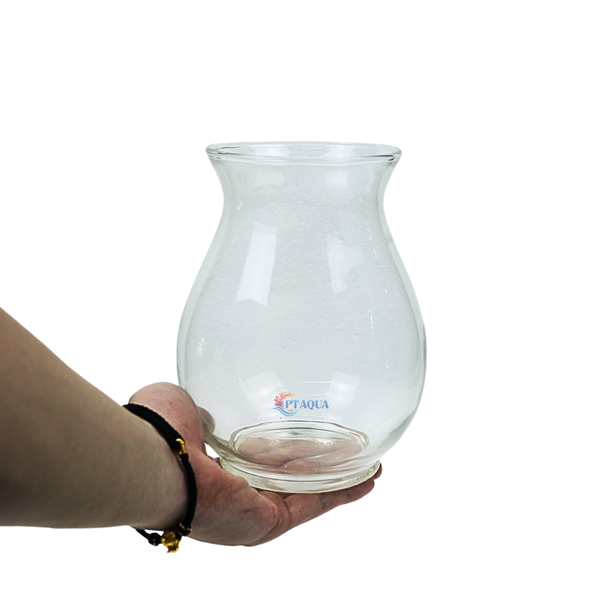 Chậu thủy tinh mini hình bầu bụng 14cm cao 17cm trồng cây nuôi cá thủy canh