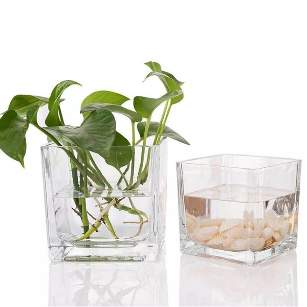 Chậu Thủy Tinh Trồng Cây, Lọ Thủy Tinh Vuông Trồng Cây Trong Suốt, Cắm Hoa Để Bàn, Decor Nội Thất Đa Năng