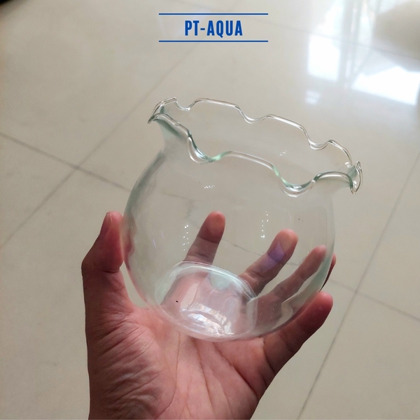 Chậu thủy tinh mini 10cm tai bèo
