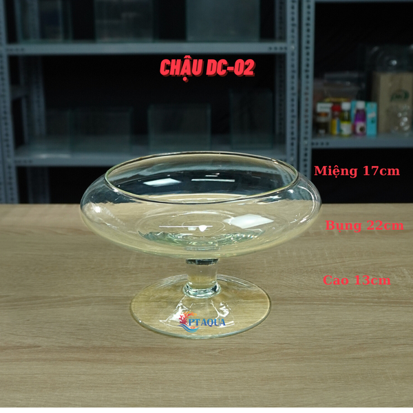 Bể Cá Mini, Chậu Thuỷ Tinh DC phù hợp làm tiểu cảnh trang trí hoặc nuôi cá cảnh mini để bàn