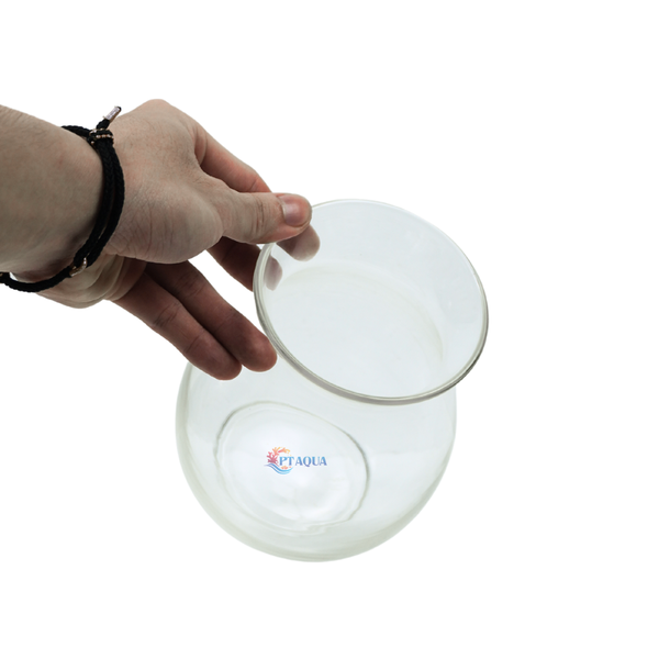 Chậu thủy tinh mini hình bầu bụng 14cm cao 17cm trồng cây nuôi cá thủy canh