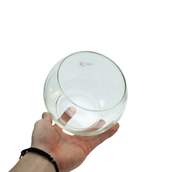 Chậu thủy tinh mini tròn ngang 14cm cao 12cm