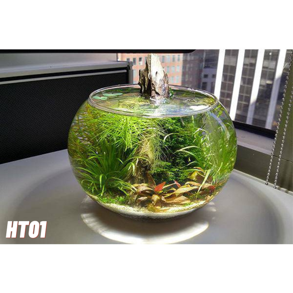 Chậu thủy tinh tròn HT01 size lớn dành cho nuôi cá hoặc trang trí