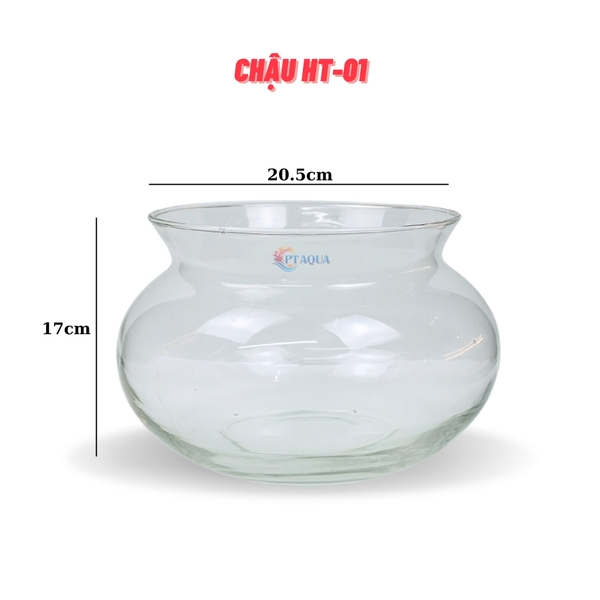 Chậu Thuỷ Tinh Để Bàn Mã HT-M Có Cổ Nhô Lên Cao Phù Hợp Nuôi Cá Cảnh Mini Kêt Hợp Trông Thuỷ Canh