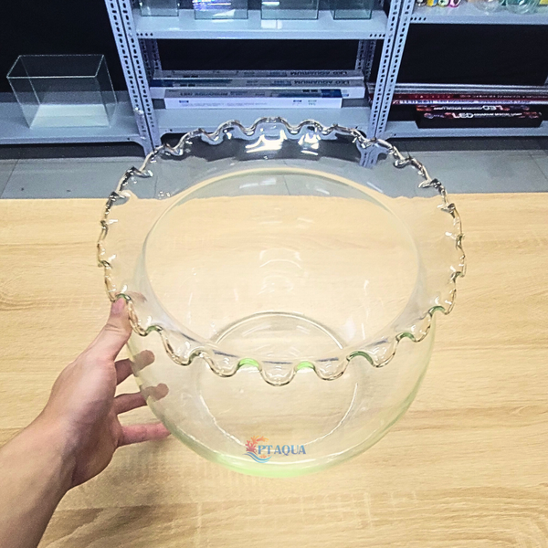 Chậu Thuỷ Tinh Tai Bèo Cỡ Đại To Phù Hợp Nuôi Cá hoặc Làm Trang Trí Tiểu Cảnh Ngang 28cm cao 27cm