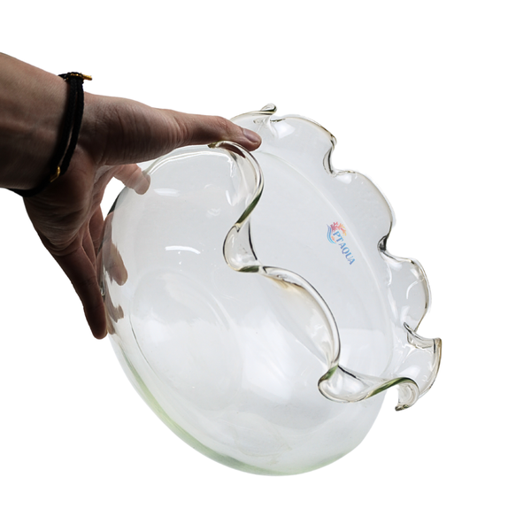 Chậu thủy tinh tai bèo để bàn , chậu thủy tinh mini tai bèo HB01 nuôi cá và trang trí