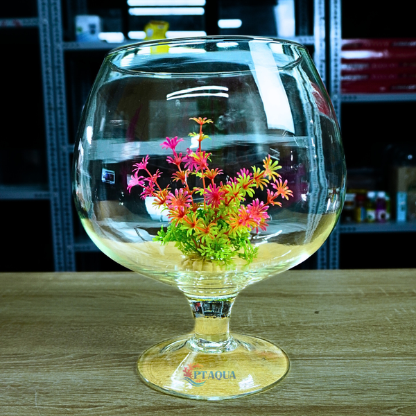 Chậu Thuỷ Tinh , Bể Cá mini Hình Ly Cỡ Đại Siêu To Kích Thước Bụng 24cm Cao 27cm hợp nuôi cá cảnh