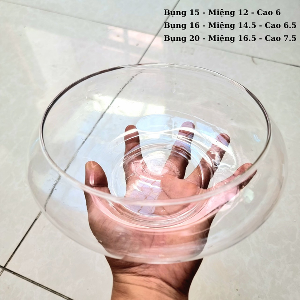 BS - Bể cá mini tròn để bàn, chậu thủy tinh trồng cây thủy sinh, chậu thủy tinh trang trí