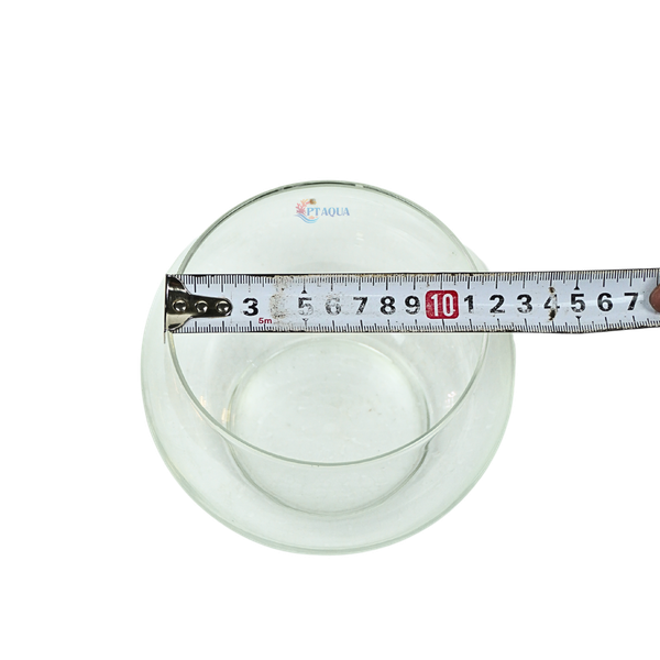 Chậu thủy tinh mini tròn ngang 14cm cao 12cm
