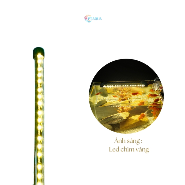 Đèn hồ cá ĐÈN CHÌM 20 - 60cm dùng cho hồ cá cảnh có công tắt loạt tốt
