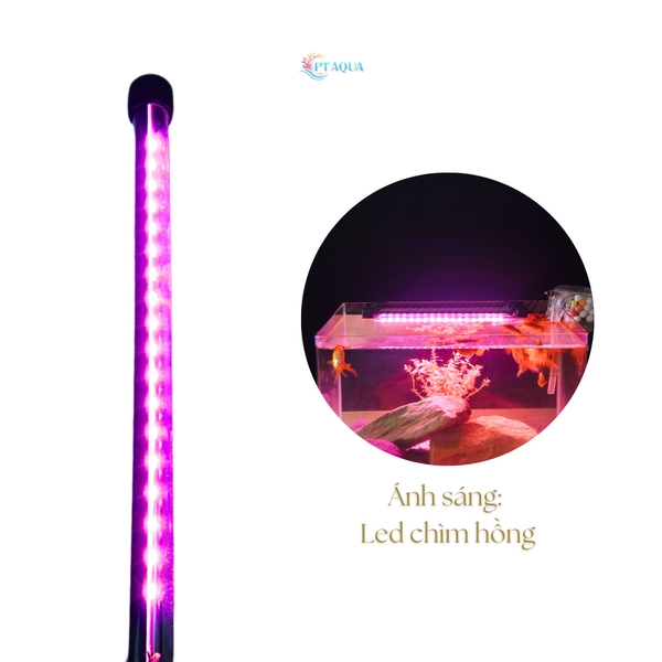 Đèn hồ cá ĐÈN CHÌM 20 - 60cm dùng cho hồ cá cảnh có công tắt loạt tốt