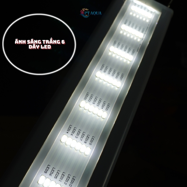 Đèn bể cá 6 HÀNG LED 20 - 100cm dành cho hồ cá cảnh , hồ thủy sinh