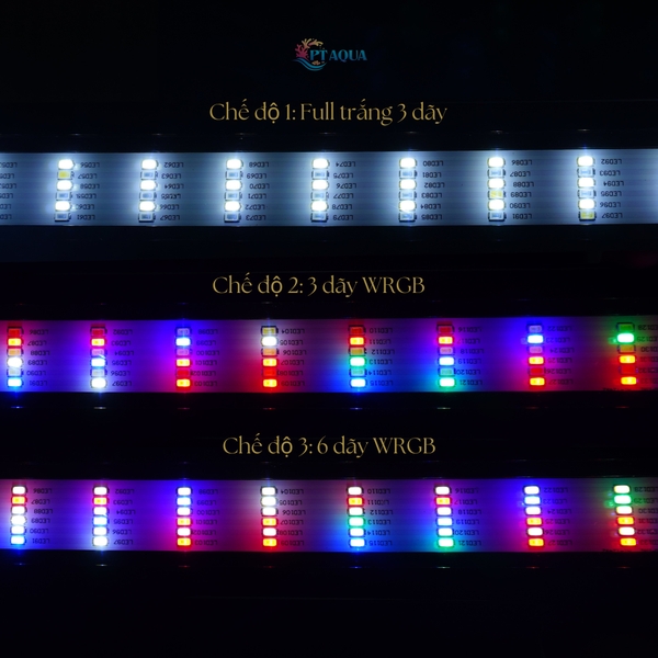 Đèn bể cá ĐỔI MÀU với 3 chế độ sáng màu làm cho hồ cá đẹp và lung linh hơn