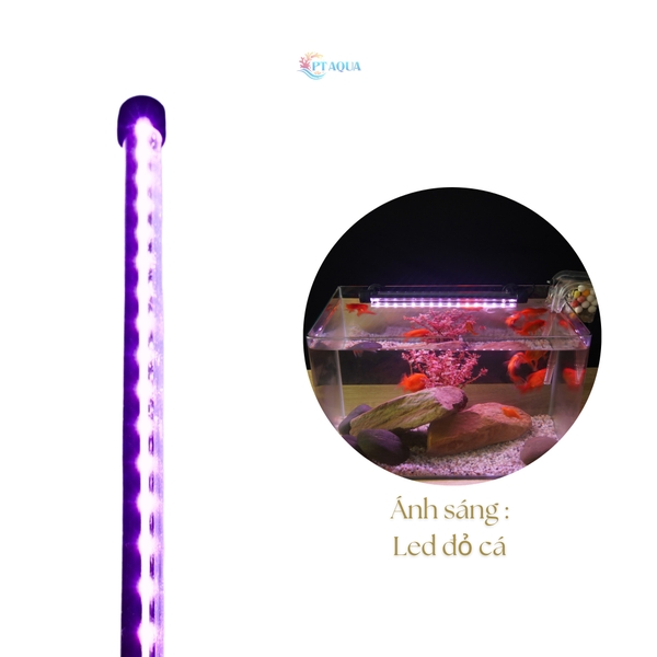 Đèn hồ cá ĐÈN CHÌM 20 - 60cm dùng cho hồ cá cảnh có công tắt loạt tốt