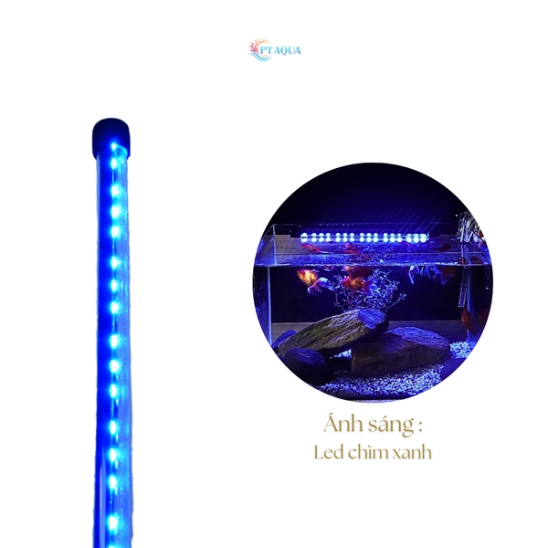 Đèn hồ cá ĐÈN CHÌM 20 - 60cm dùng cho hồ cá cảnh có công tắt loạt tốt