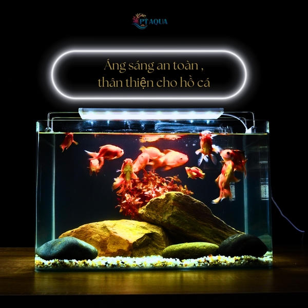 Đèn bể cá 6 HÀNG LED 20 - 100cm dành cho hồ cá cảnh , hồ thủy sinh