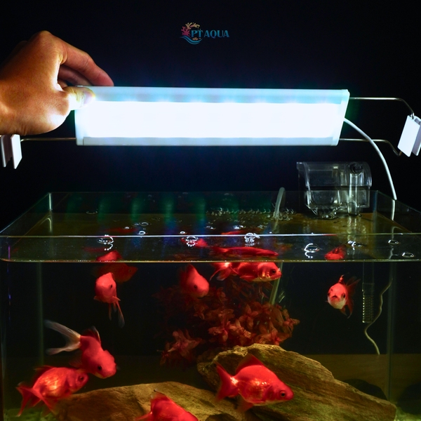 Đèn bể cá 6 HÀNG LED 20 - 100cm dành cho hồ cá cảnh , hồ thủy sinh