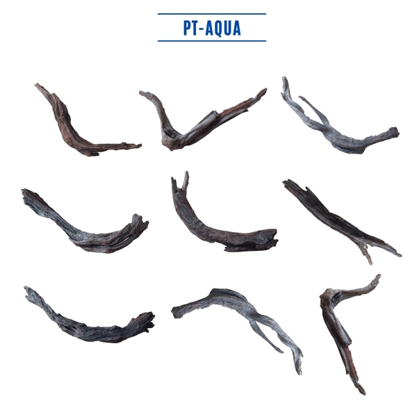 Lũa thủy sinh mini cho bể cá thủy sinh mini