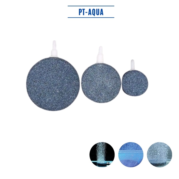 Đĩa sủi oxy siêu mịn dành cho hồ cá