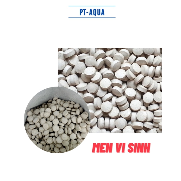 Men vi sinh dạng viên nén Viên nén xử lý làm trong nước và chất thải bể cá