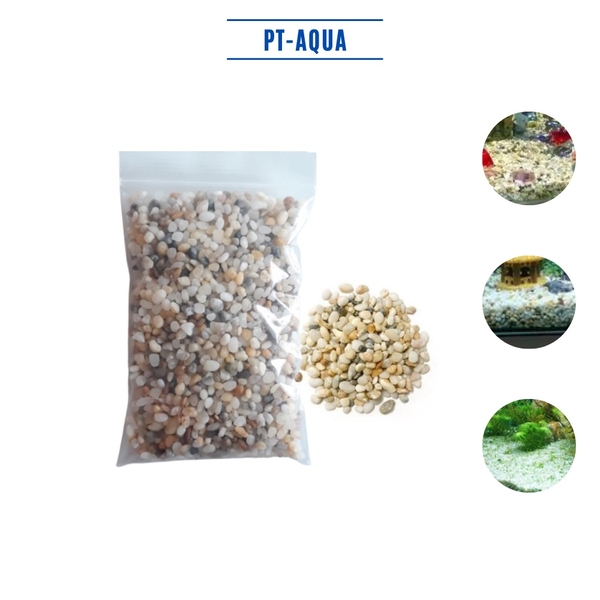 Sỏi nền hồ cá 500g , sỏi muối tiêu rải nền hồ cá