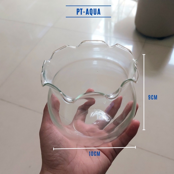 Chậu thủy tinh mini 10cm tai bèo