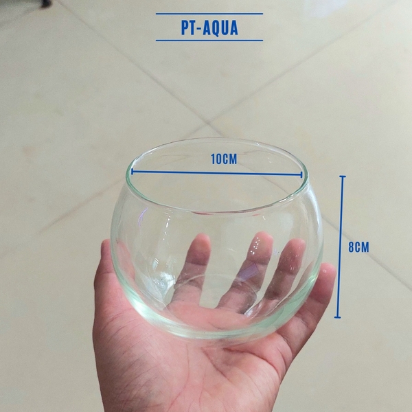 Chậu thủy tinh mini 10cm