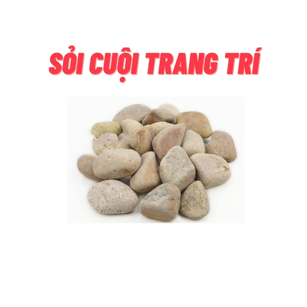 Sỏi trang trí hồ cá mini