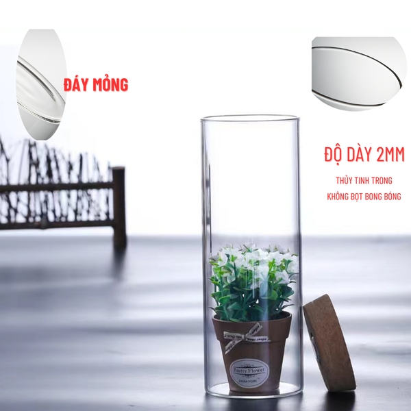 Chậu Thủy Tinh TRÒN ĐÁY MỎNG Trồng Cây, Lọ Thủy Tinh Tròn Trồng Cây Trong Suốt, Cắm Hoa Để Bàn, Decor Nội Thất Đa Năng