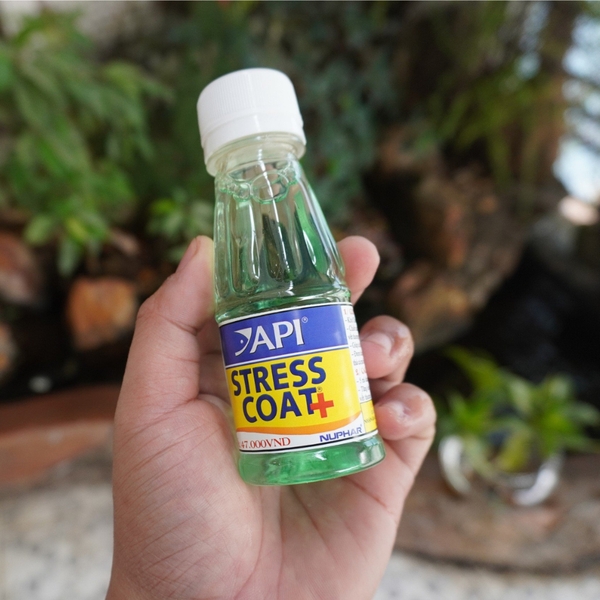 Dưỡng Cá API STRESSCOAT chống sốc , xử lý nước giúp cá khỏe mạnh hơn