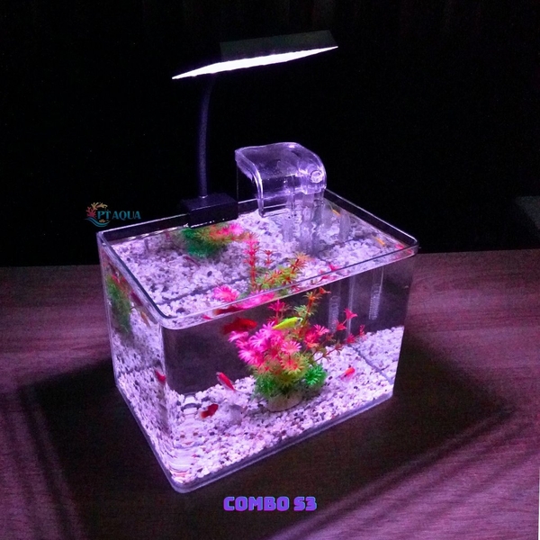 Bể cá mini Đúc uốn cong 25x16x18cm để bàn Với nhiều mẫu lựa chọn có kèm phụ kiện sỏi nền và cây nhựa