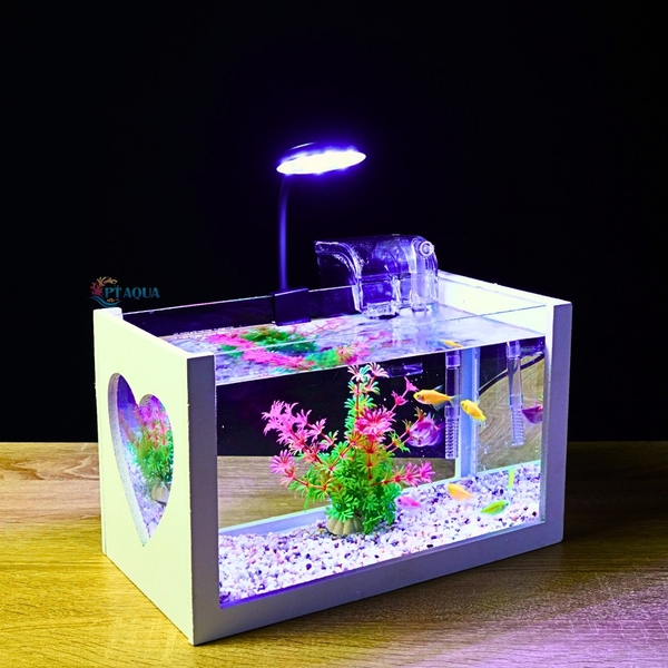 Bể cá mini để bàn DỄ THƯƠNG sành điệu trang trí đẹp mắt
