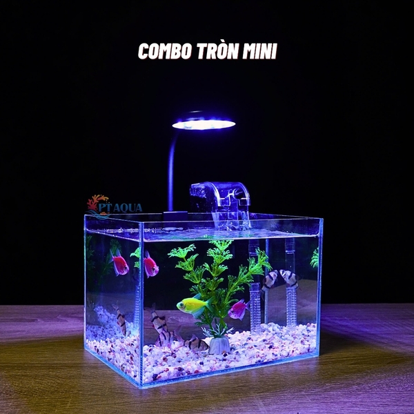 Bể Cá Mini Để Bàn 20x14x14cm Nhỏ Xinh Dễ Thương Phù Hợp Nuôi Cá Cảnh Nhỏ Để Bàn