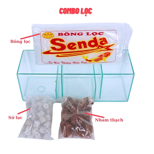 Lọc Tràn Bể Cá Bằng Kính Kích Thước 30cm 40cm 50cm Giúp Lọc Sạch Và Ổn Định Vi Sinh Trong Nước
