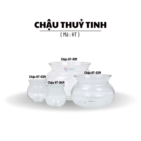 Chậu Thuỷ Tinh Để Bàn Mã HT-M Có Cổ Nhô Lên Cao Phù Hợp Nuôi Cá Cảnh Mini Kêt Hợp Trông Thuỷ Canh