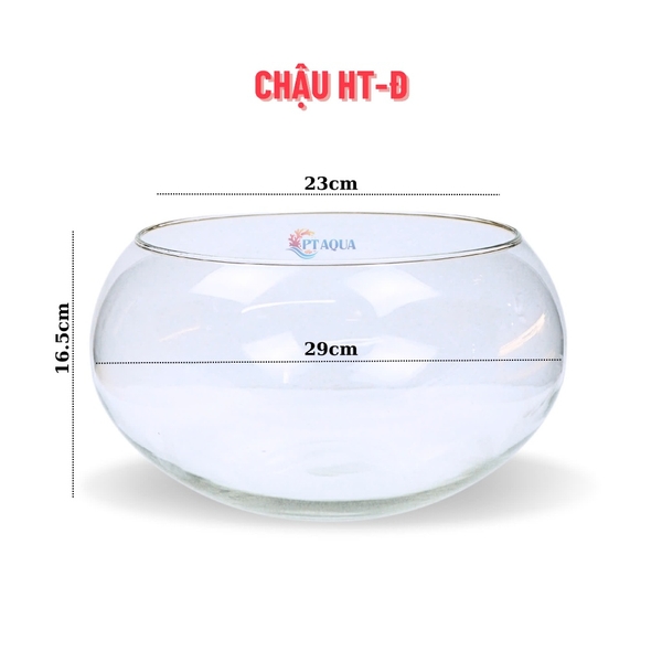 Chậu Thủy Tinh Tròn HT-Đ Size Lớn Nhất Bụng 30cm x Cao 16cm Dành Cho Nuôi Cá Hoặc Trang Trí